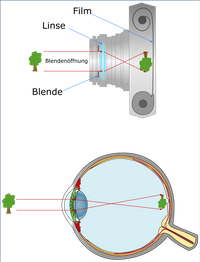 Kamera Auge